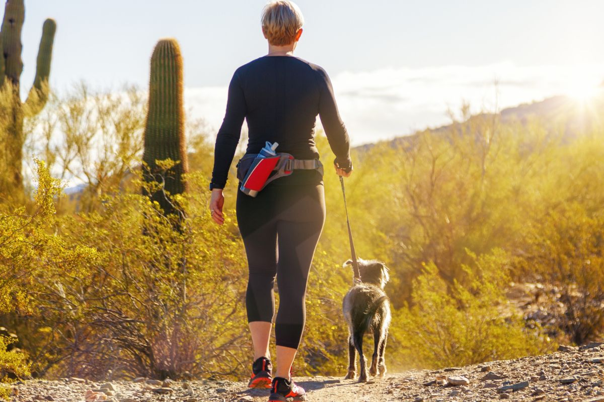 Things to do with your dog in Phoenix, scottsdale, and tempe arizona