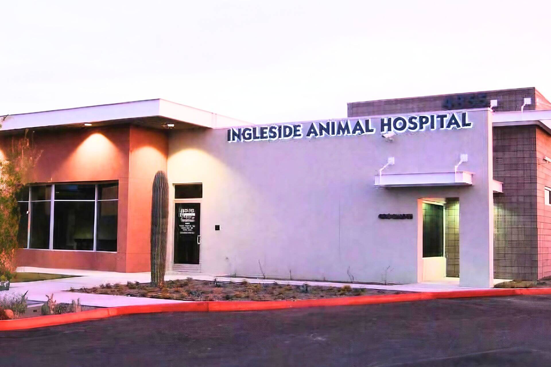 Ingleside Animal Hospital in Phoenix Arizona