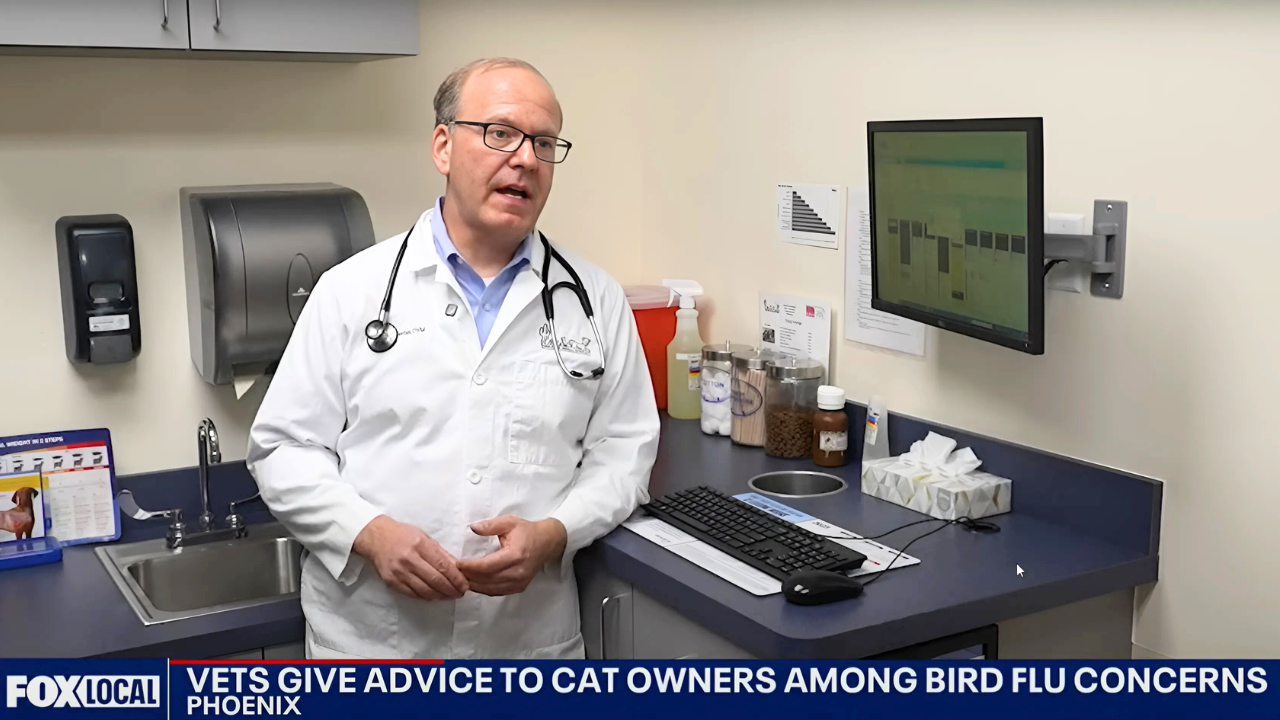 Bird Flu in Pets: Dr. Serbin on Fox 10 Phoenix