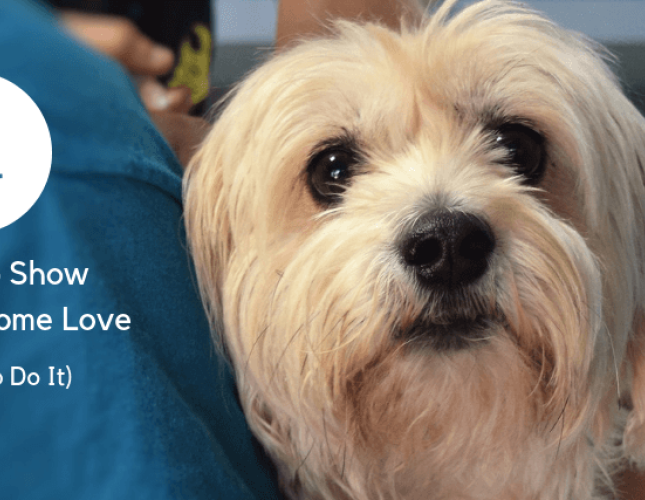 4 Reasons to Show a Vet Tech Some Love (and How to Do It)