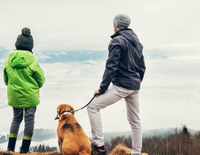 6 Things You Need to Know Before Hiking With Your Dog