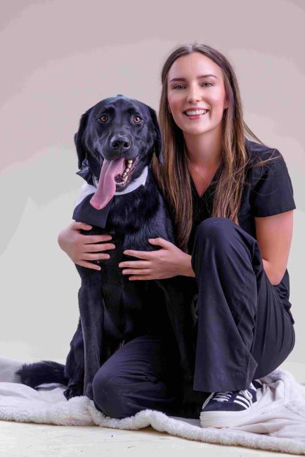 Ashley Ingleside Animal Hospital