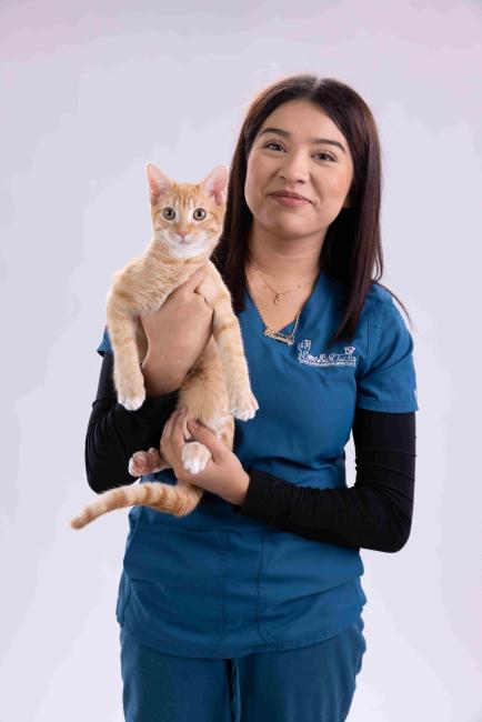 Cassandra Ingleside Animal Hospital