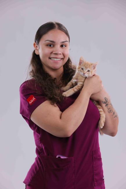 Cheyan Ingleside Animal Hospital