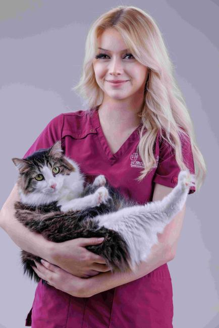 Daizey Ingleside Animal Hospital