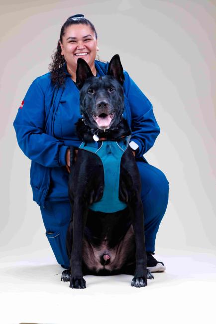 Desire Ingleside Animal Hospital