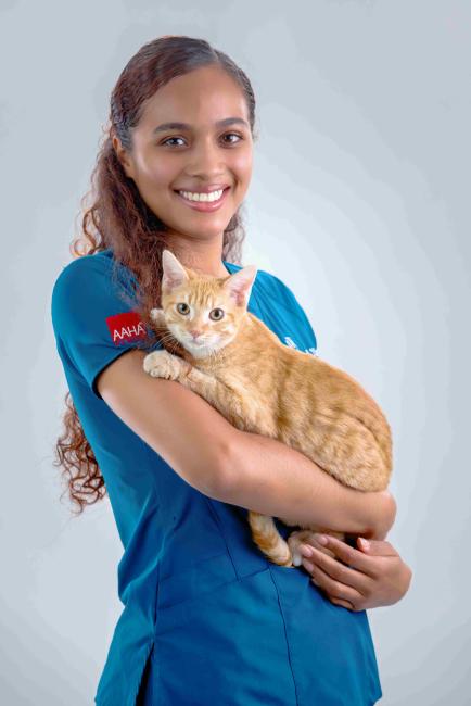 Erzule Ingleside Animal Hospital