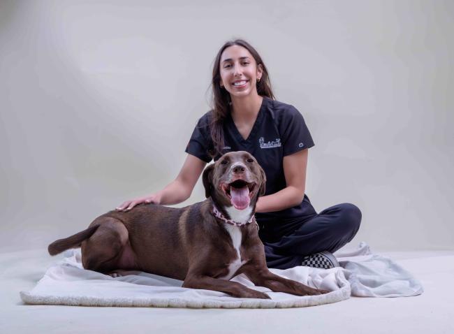 Felicity Ingleside Animal Hospital