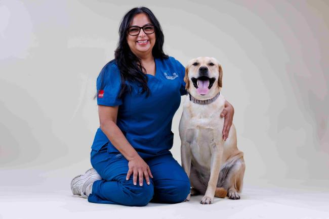 Jasmine Ingleside Animal Hospital
