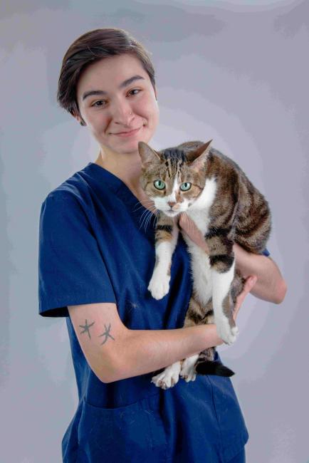 Laura Ingleside Animal Hospital