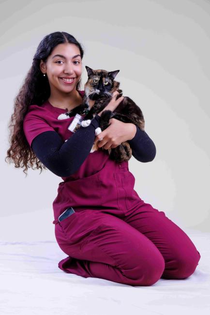 Shia Ingleside Animal Hospital